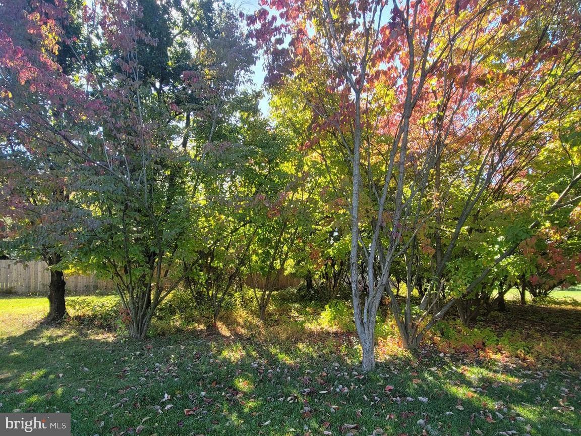 149 Pleasant Acres Court photo 46