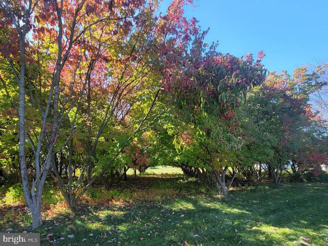 149 Pleasant Acres Court photo 47