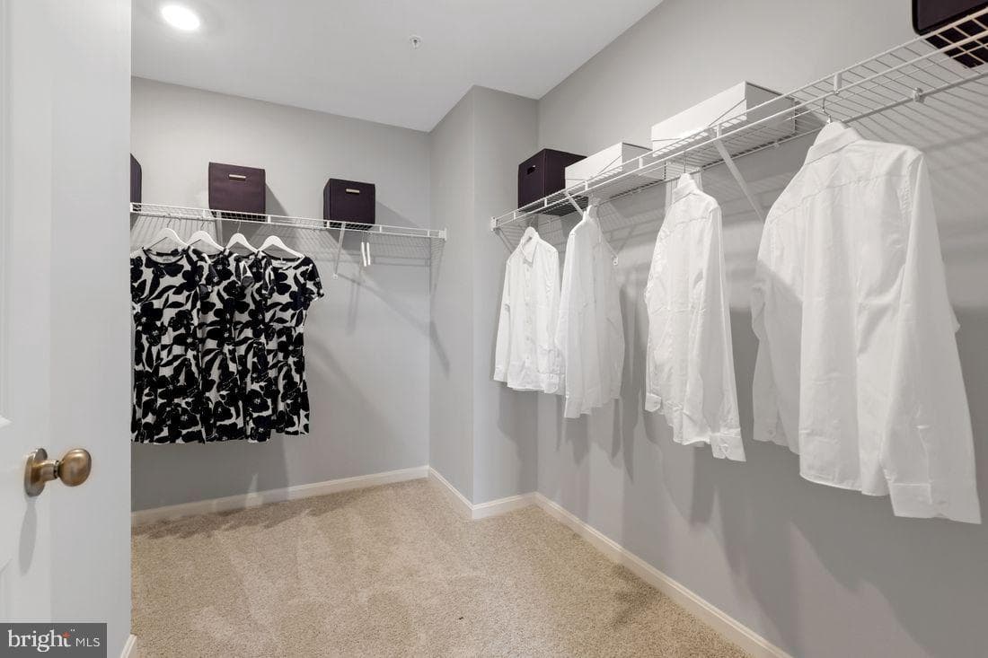 34 Clifton Terrace photo 21