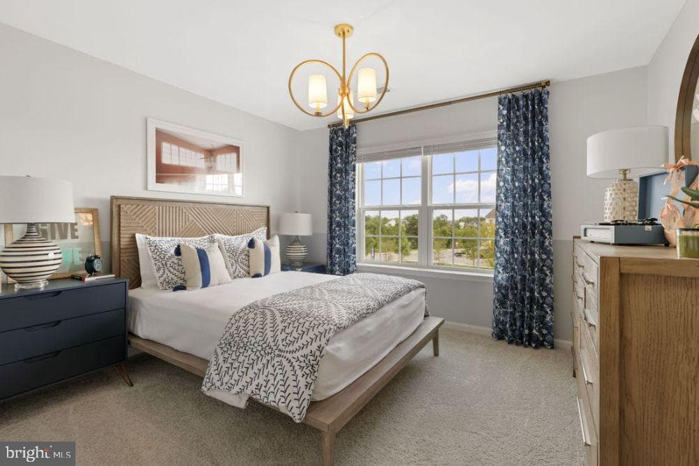 34 Clifton Terrace photo 31