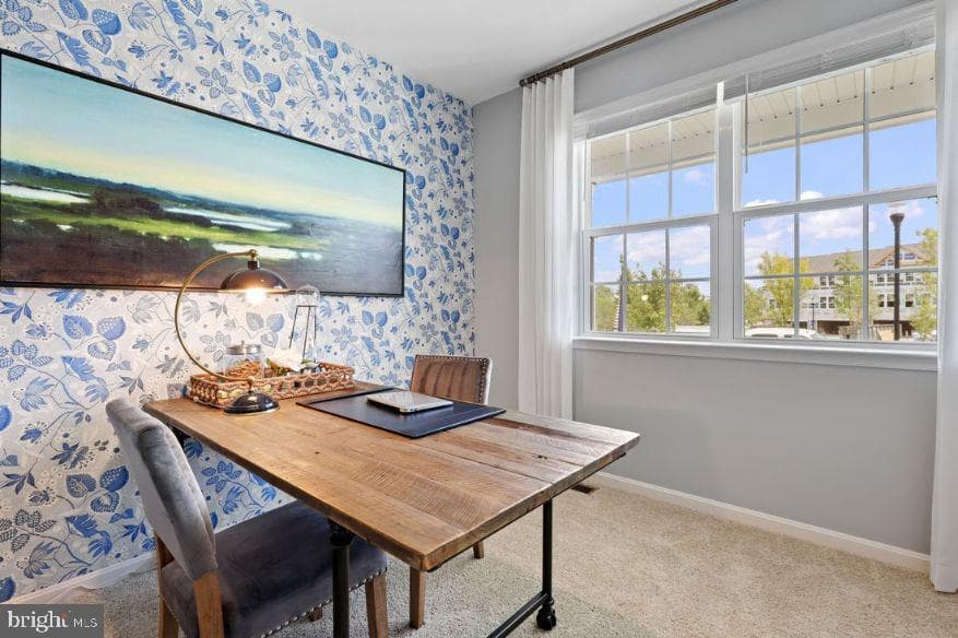 34 Clifton Terrace photo 5