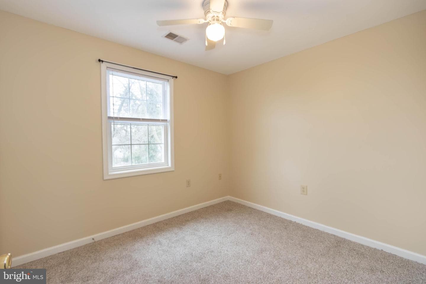 113 Maple Avenue photo 22