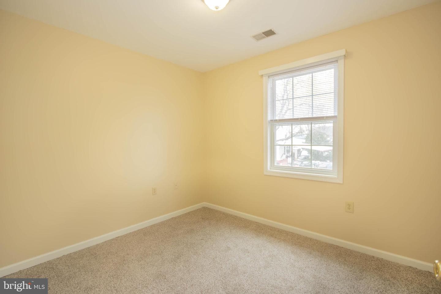 113 Maple Avenue photo 26