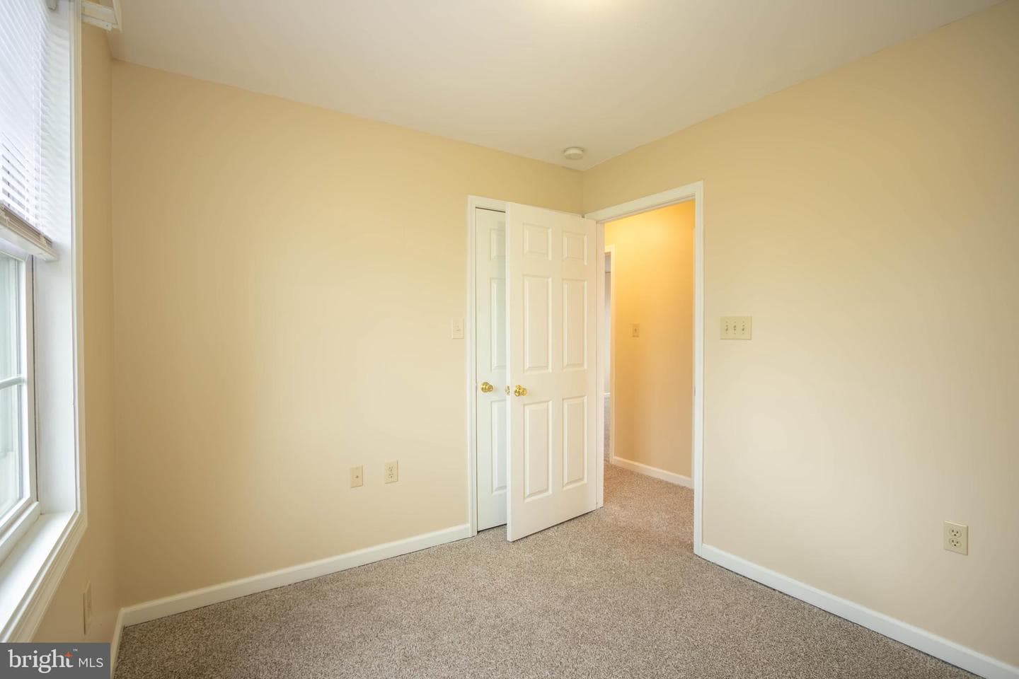 113 Maple Avenue photo 27