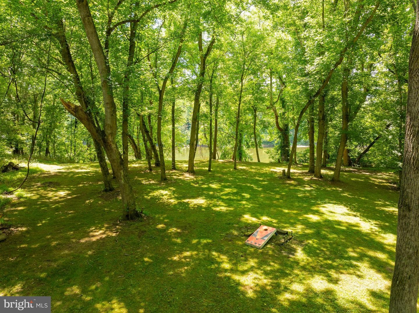 344 Bedford Drive photo 53