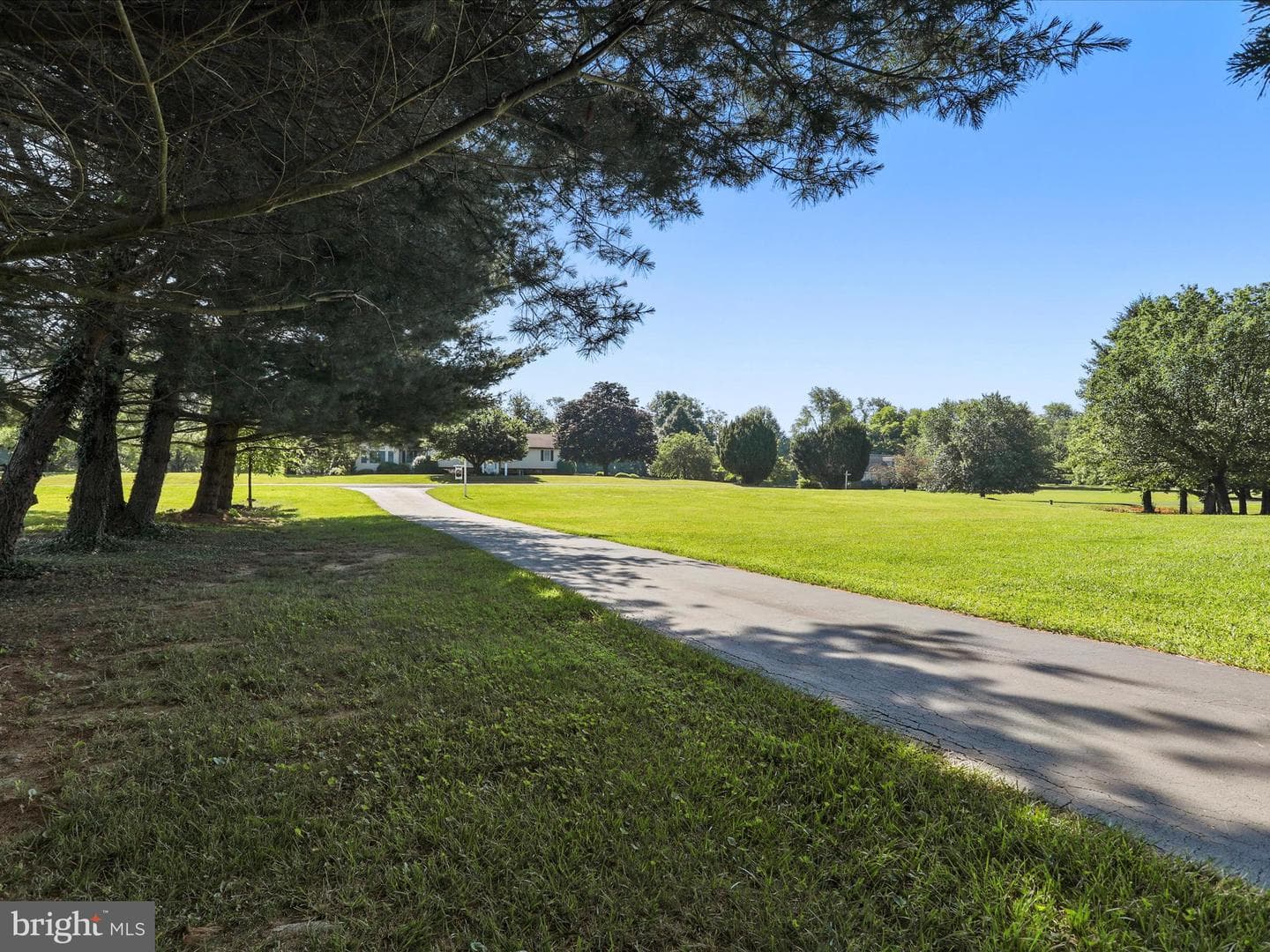 120 Monticello Drive photo 6