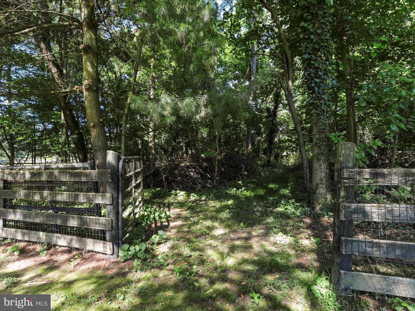 120 Monticello Drive photo 62
