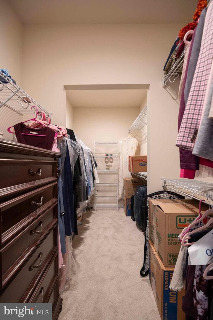 17 Blackburn Court photo 36