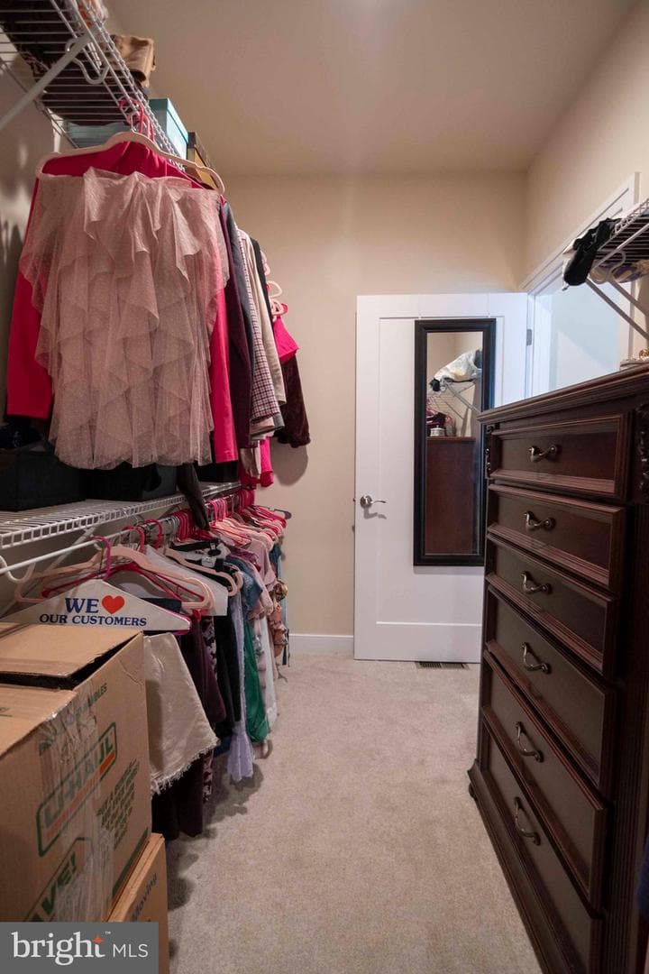 17 Blackburn Court photo 37