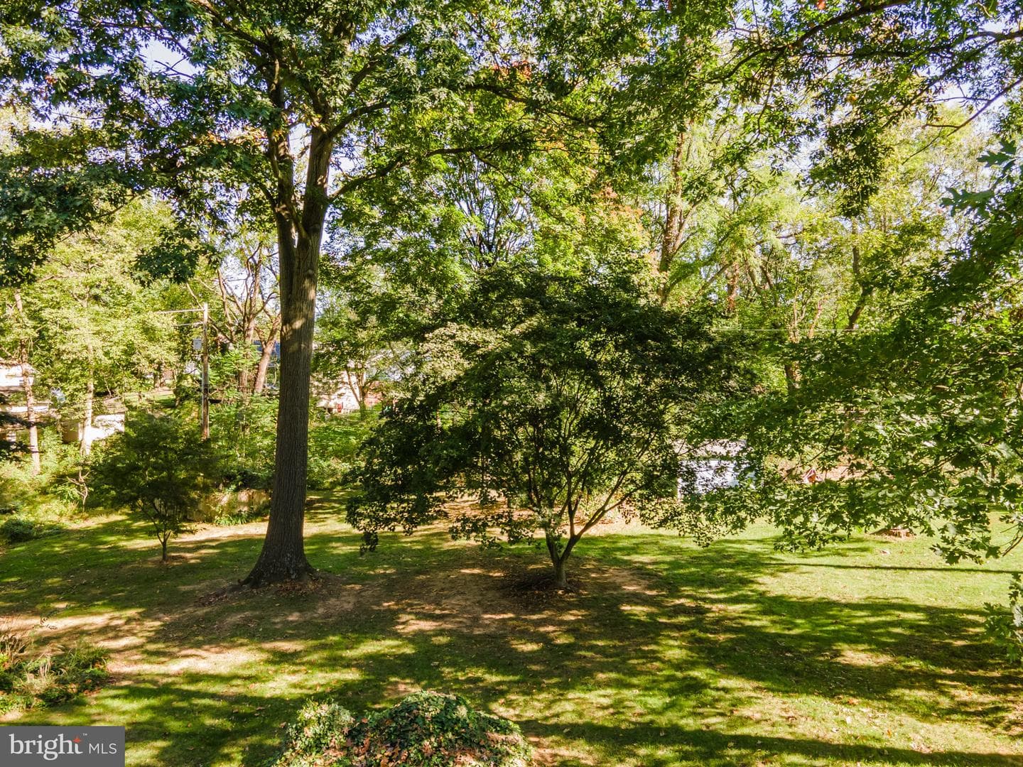 52 Captain Baird Court photo 16