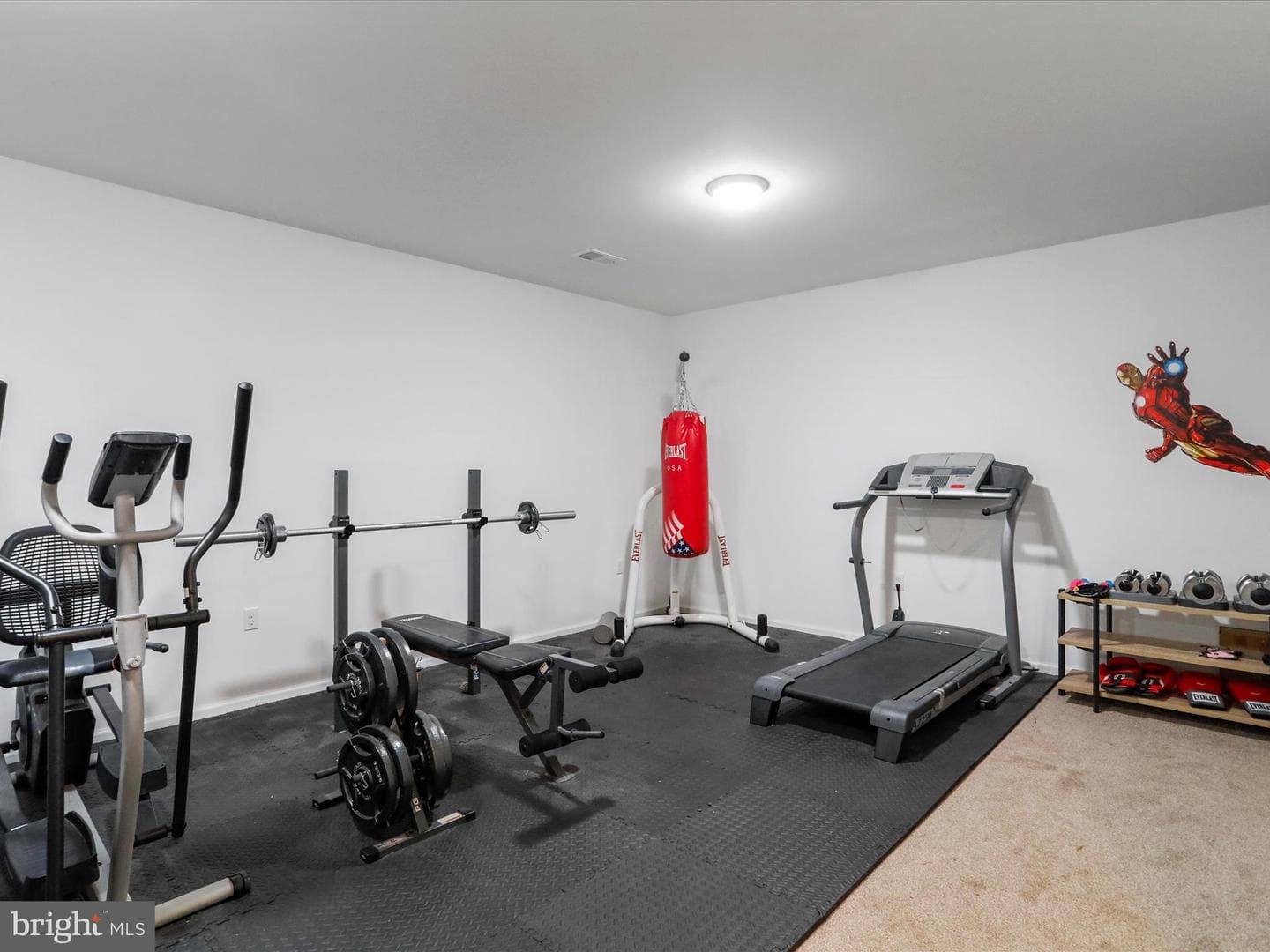 83 Green Bulrush Court photo 31
