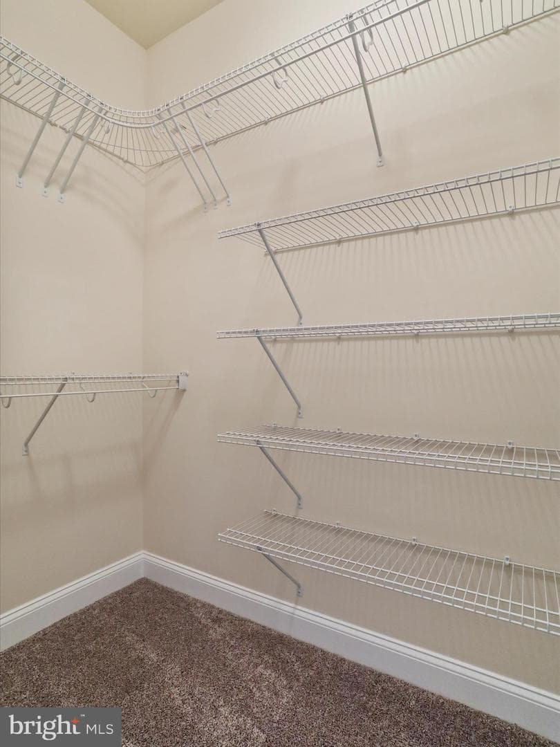 64 Robinson Way photo 32