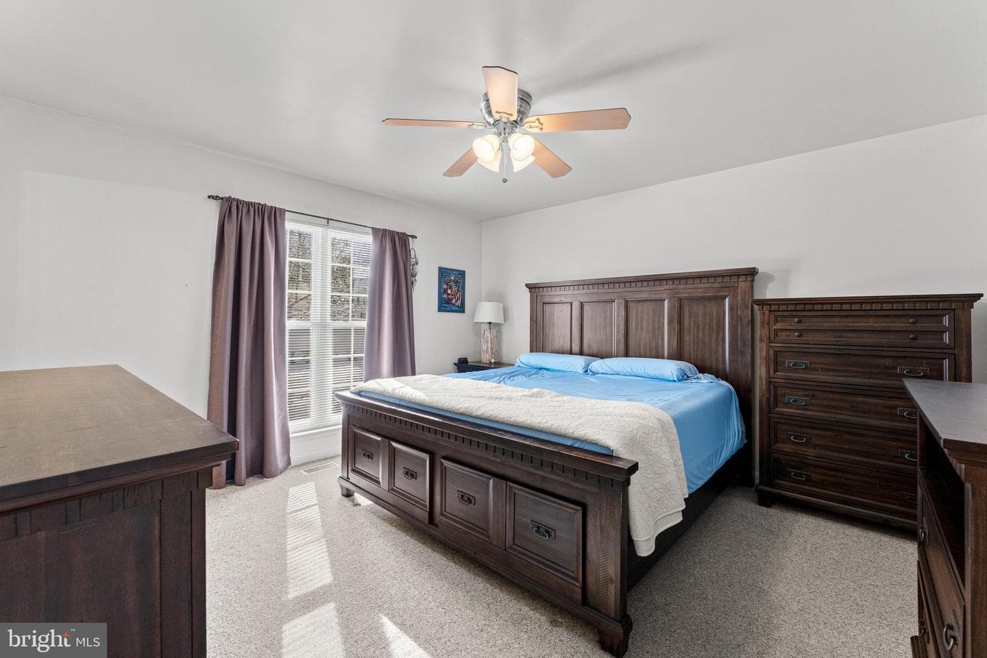 38 Bridle Court photo 26