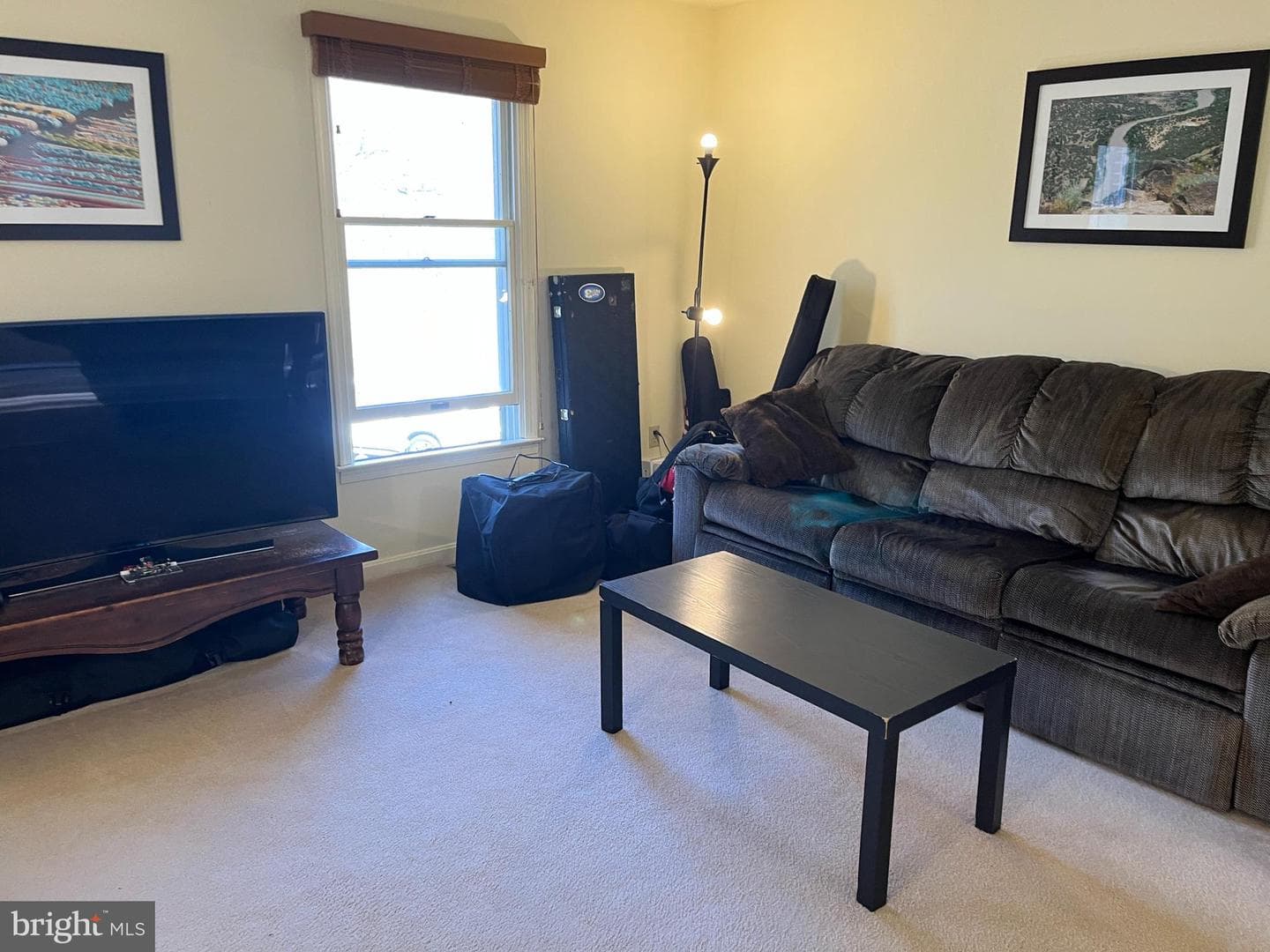 123 Mudfort Drive photo 37