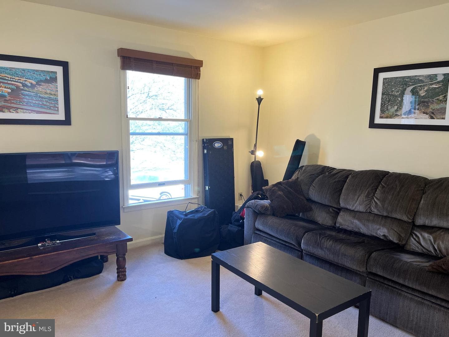 123 Mudfort Drive photo 44