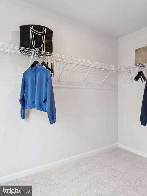 82 Angus Road photo 16