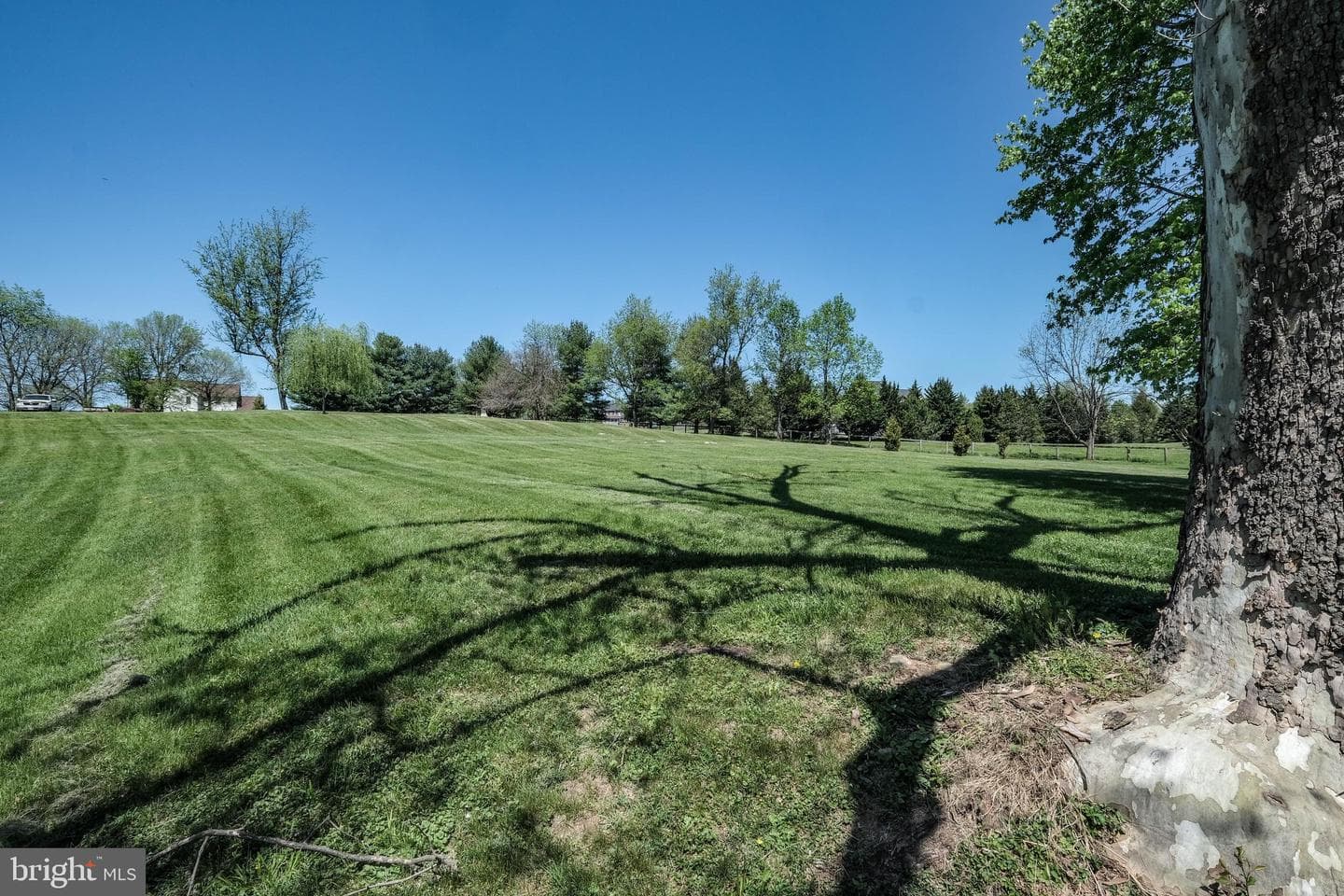 656 Old Cave Road photo 104