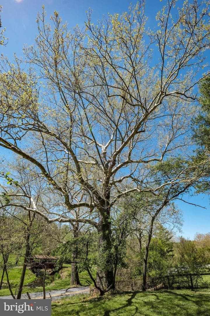 656 Old Cave Road photo 18
