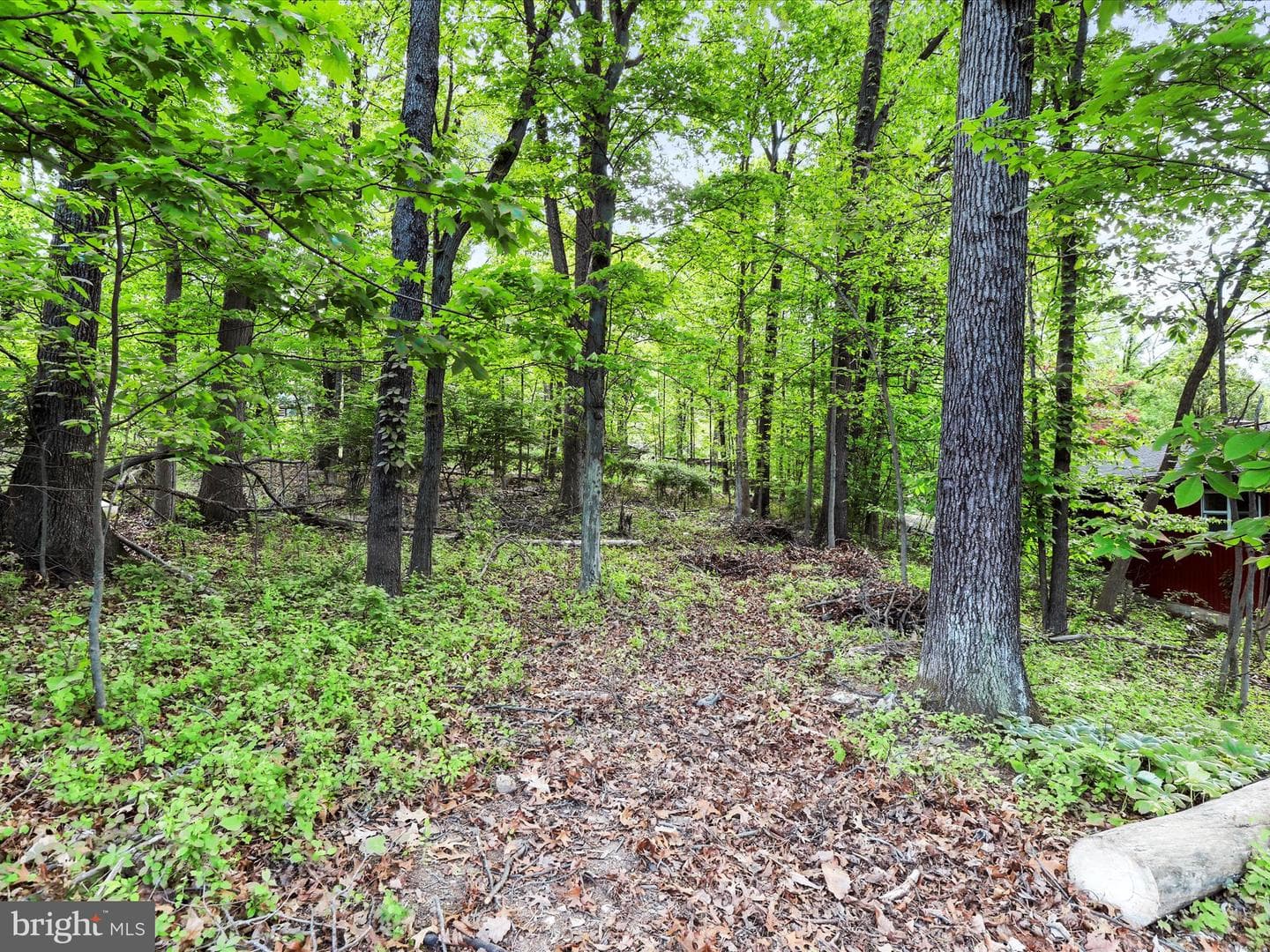 252 Blueberry Lane photo 20