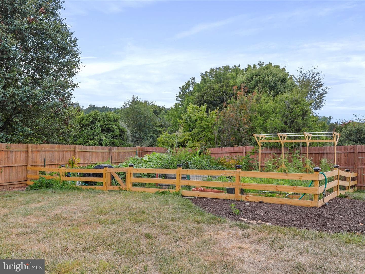 31 Sire Court photo 57