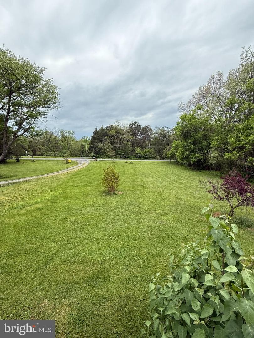 276 Forest View photo 18