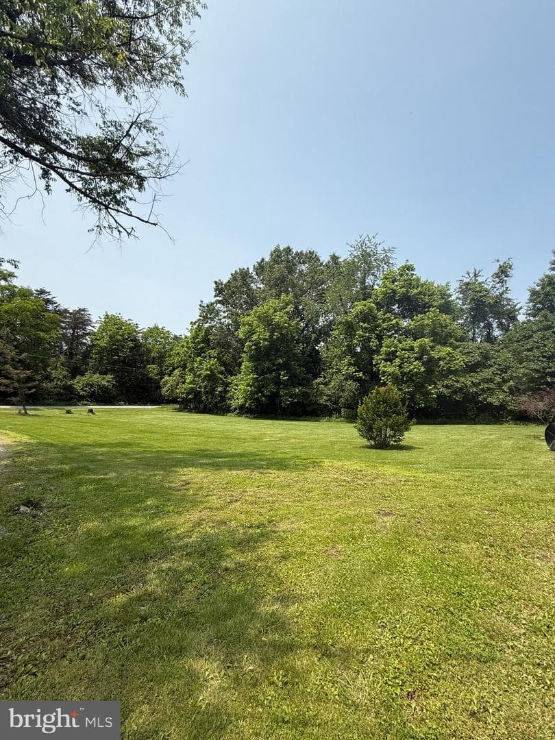 276 Forest View photo 28