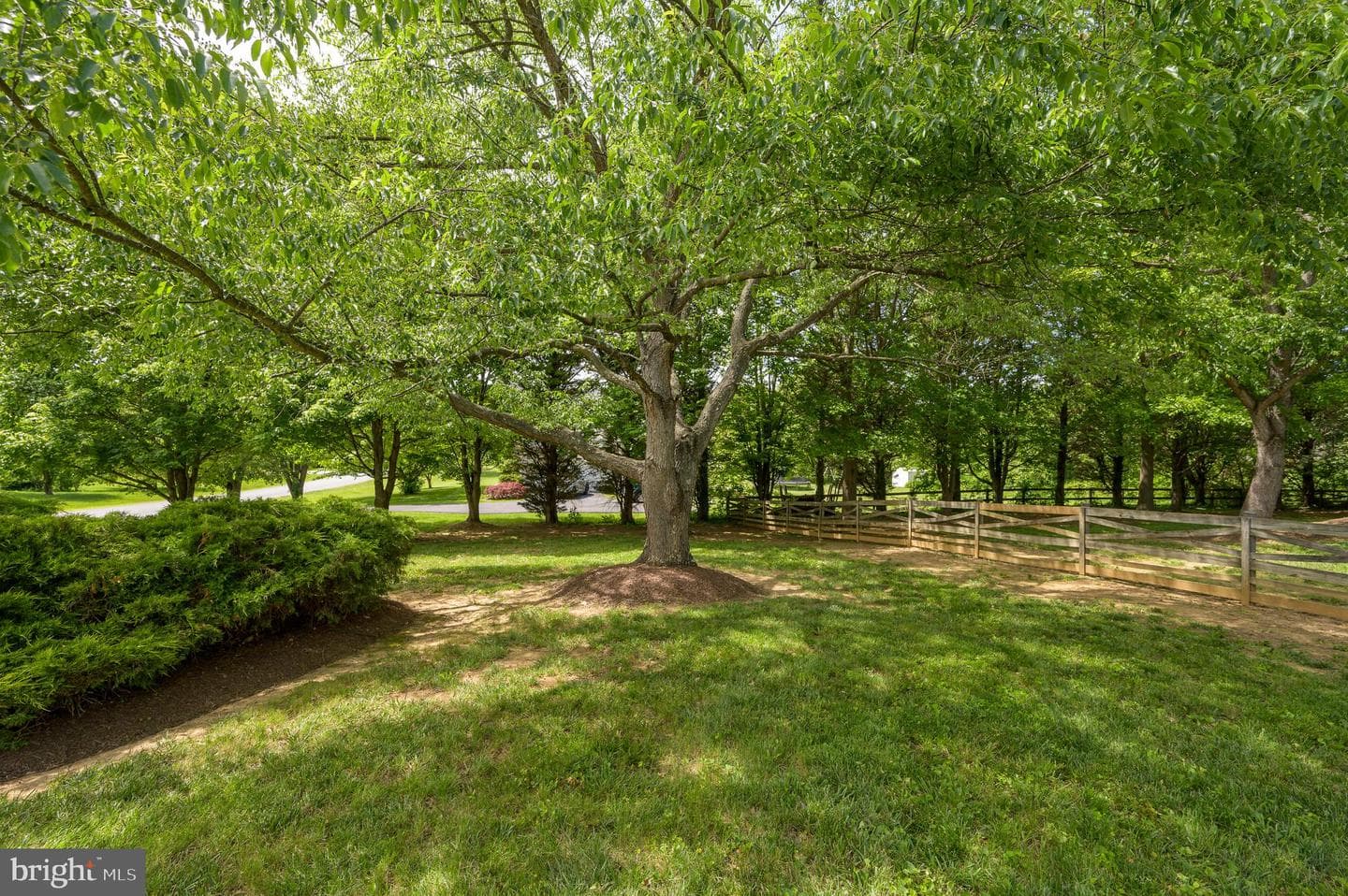 680 Mara Rose Lane photo 77