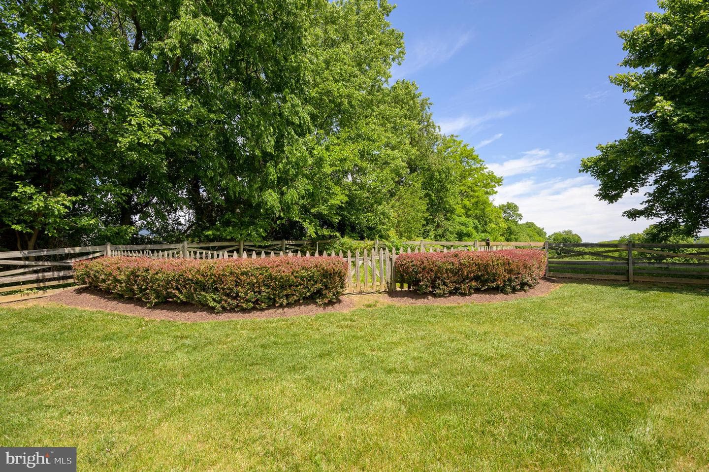 680 Mara Rose Lane photo 79