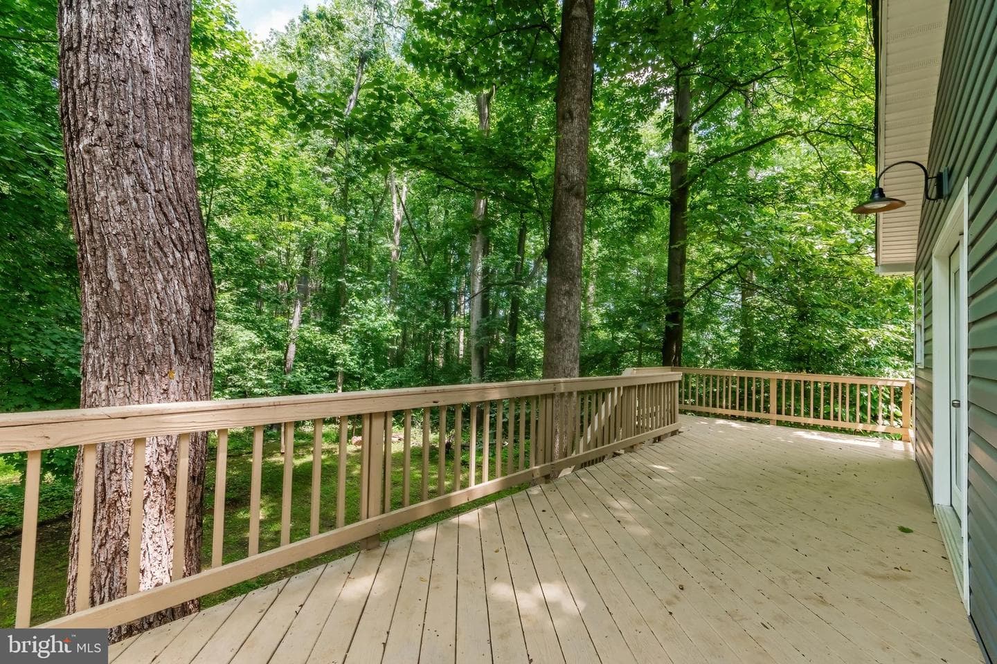 95 Devon Way photo 51