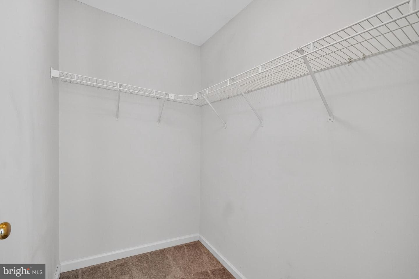 1337 Steed Street photo 21
