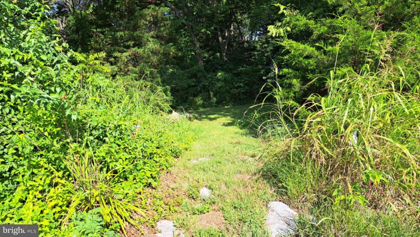 630 New Meadow Drive photo 11