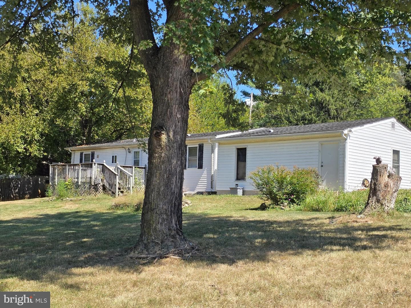 39 Nightingale Lane photo 2