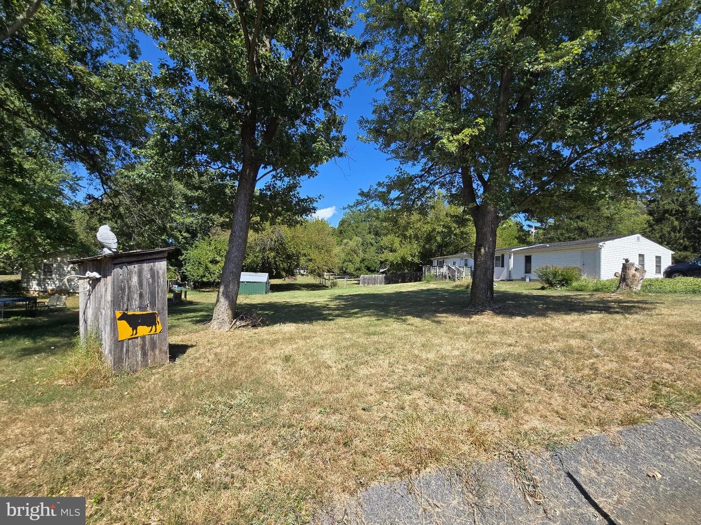 39 Nightingale Lane photo 3