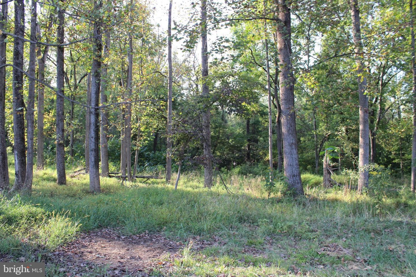 221 Frys Lane photo 45