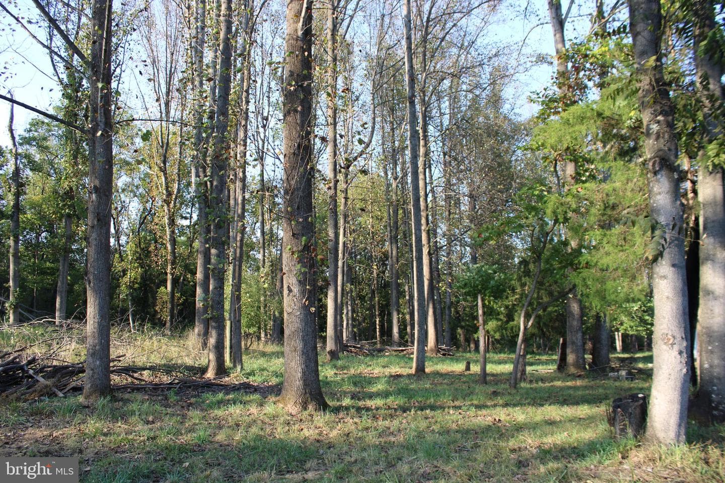 221 Frys Lane photo 47