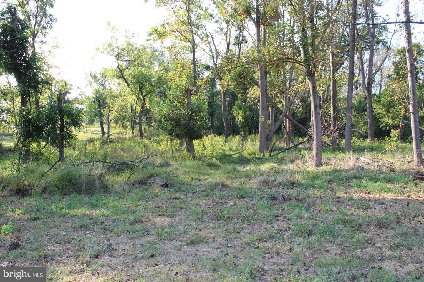 221 Frys Lane photo 48