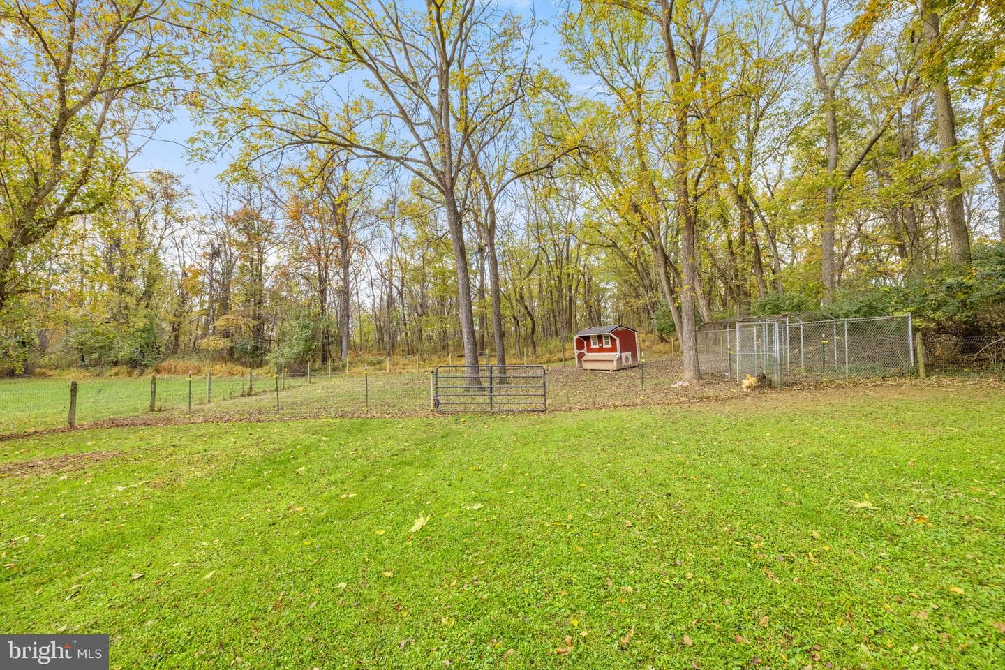 776 Thoroughbred Drive photo 73