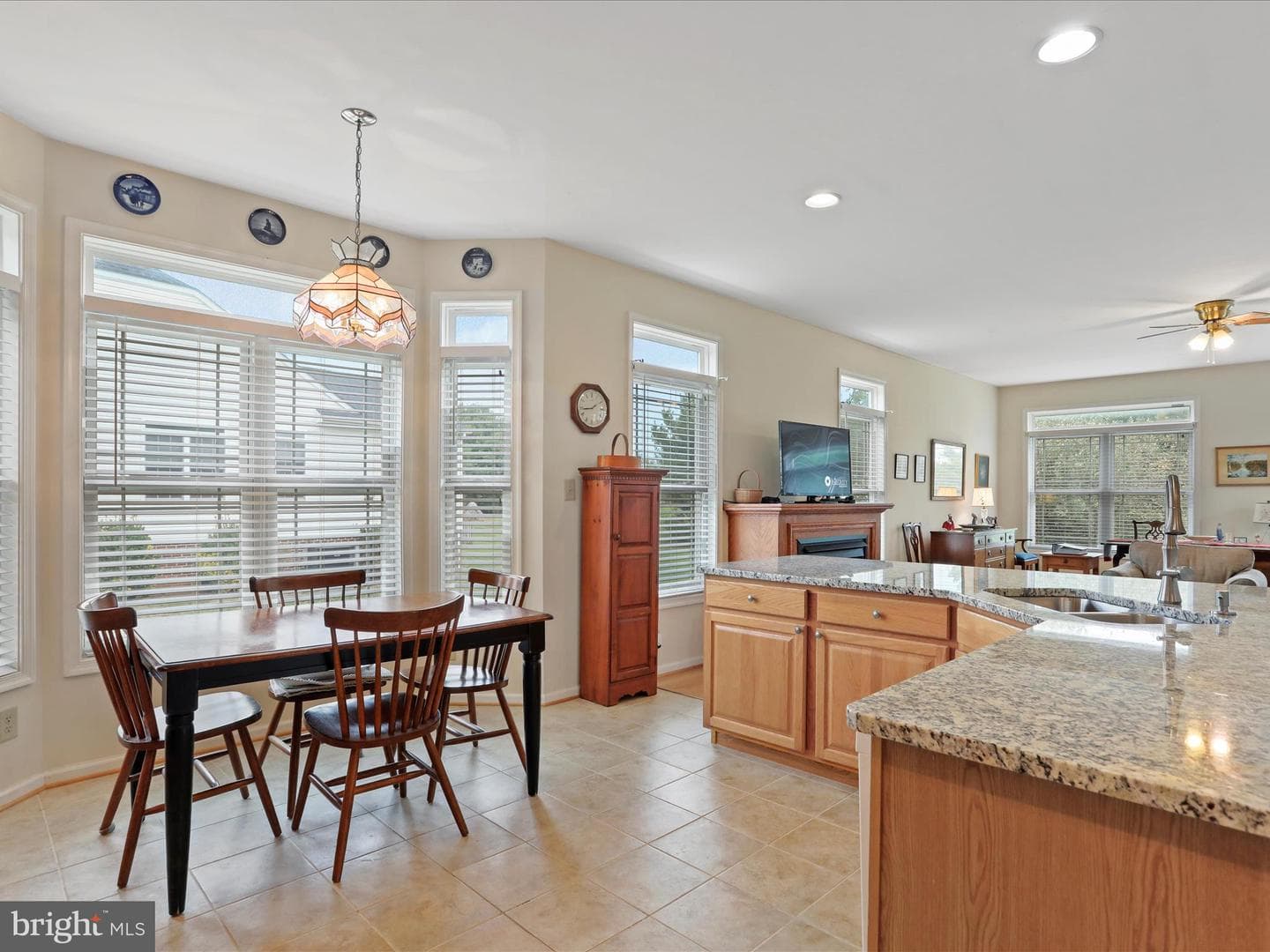 215 Brookline Drive photo 15