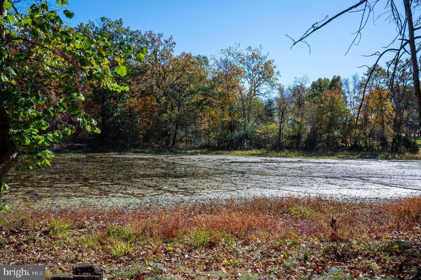 10201 Leetown Road photo 102