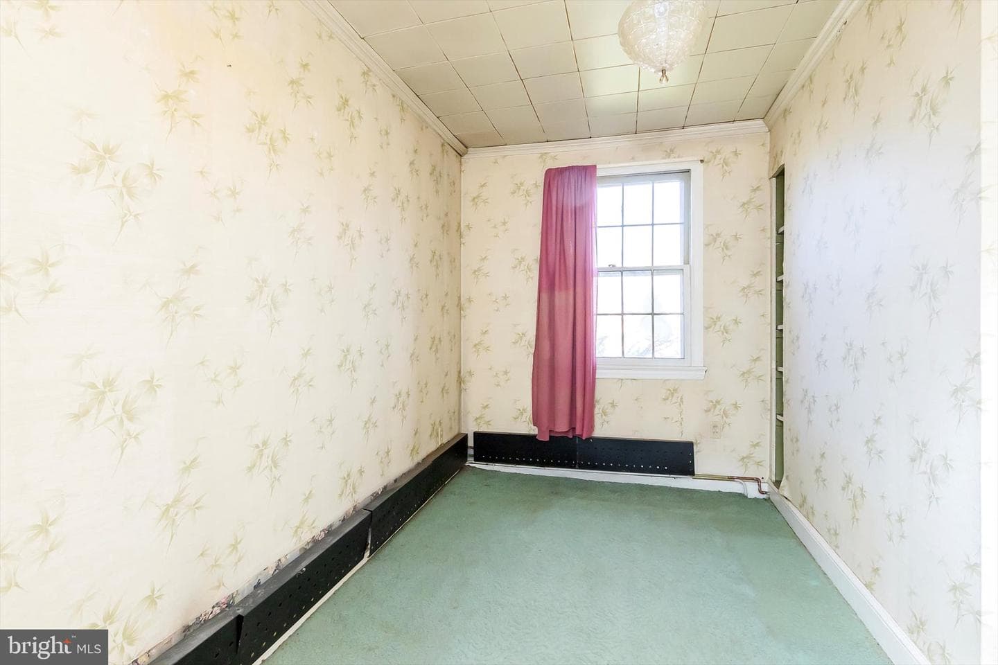 135 Blakeley Place photo 11