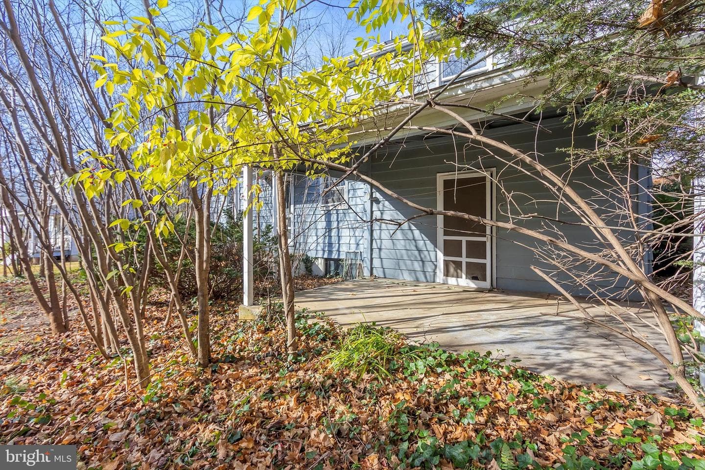 135 Blakeley Place photo 37