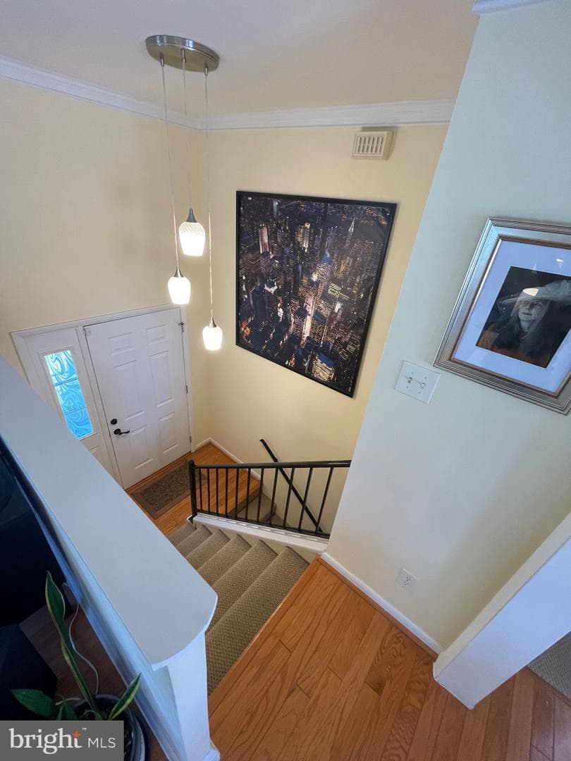 99 Exeter Court photo 29