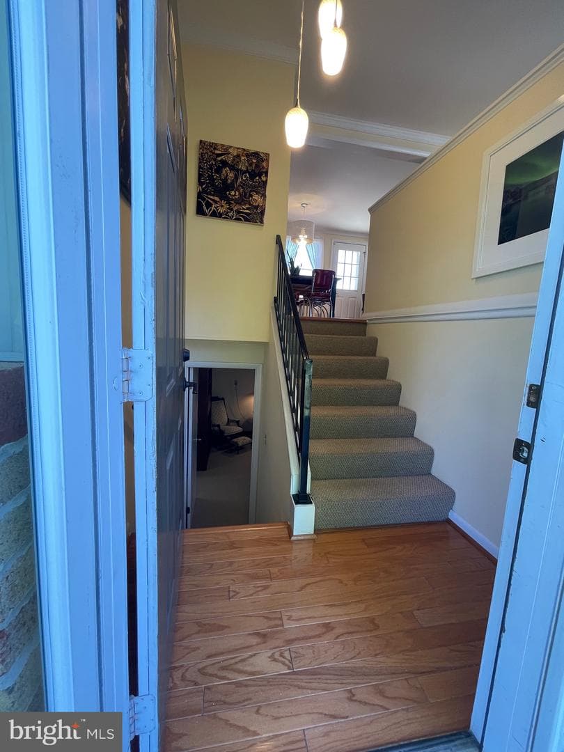 99 Exeter Court photo 30