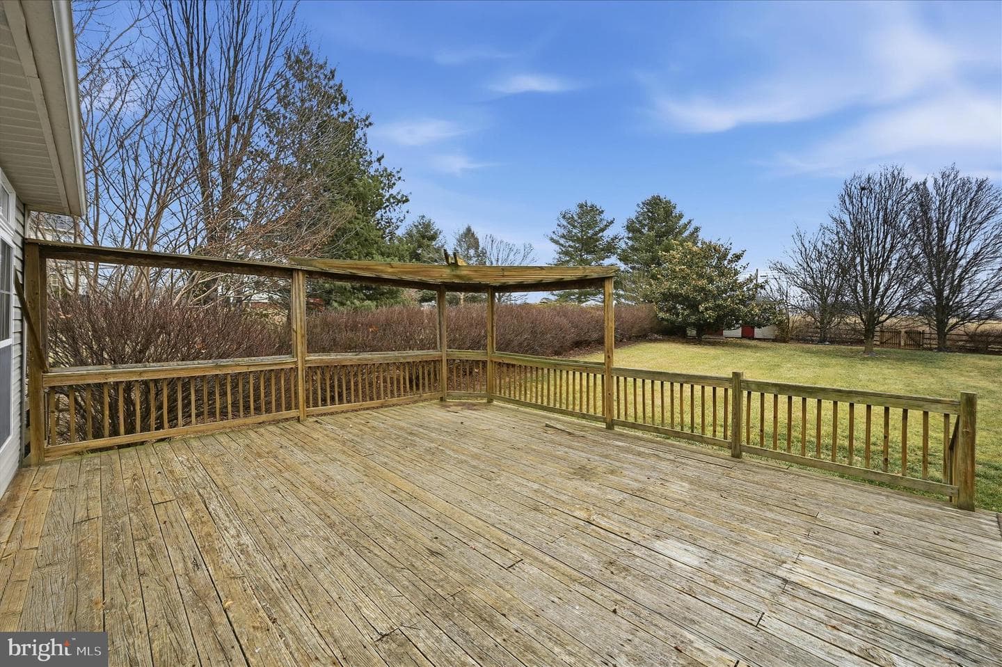 41 Pinehurst Court photo 22