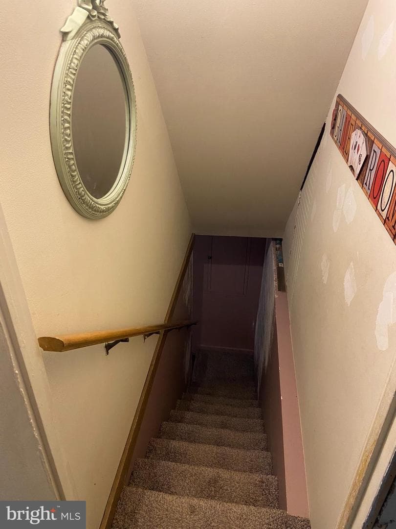 32 Scott Drive photo 25