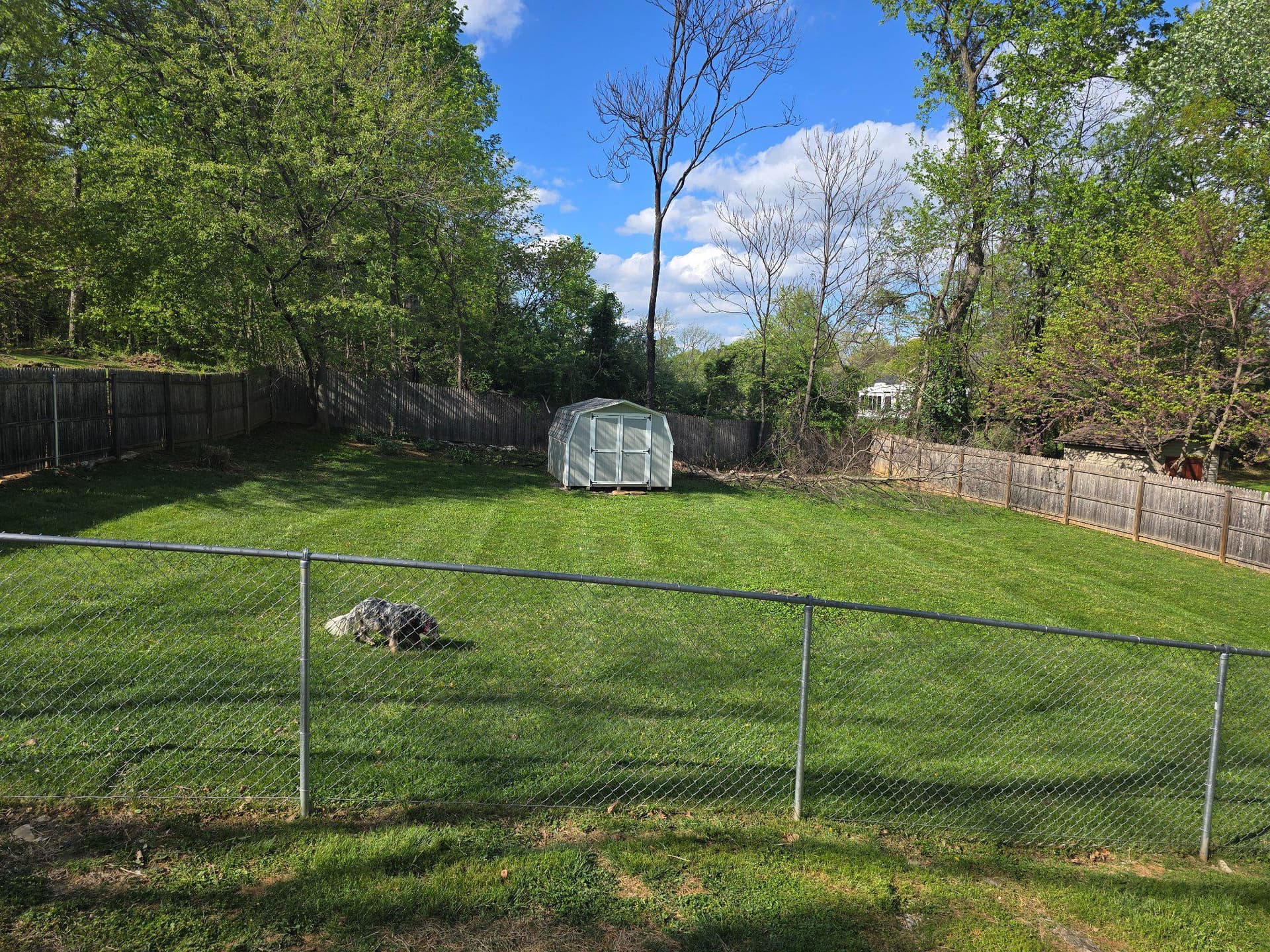 32 Scott Drive photo 35