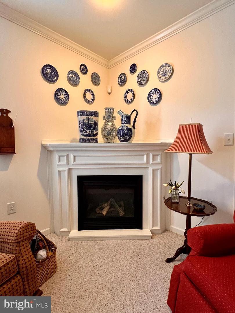 305 Brookline Drive photo 15