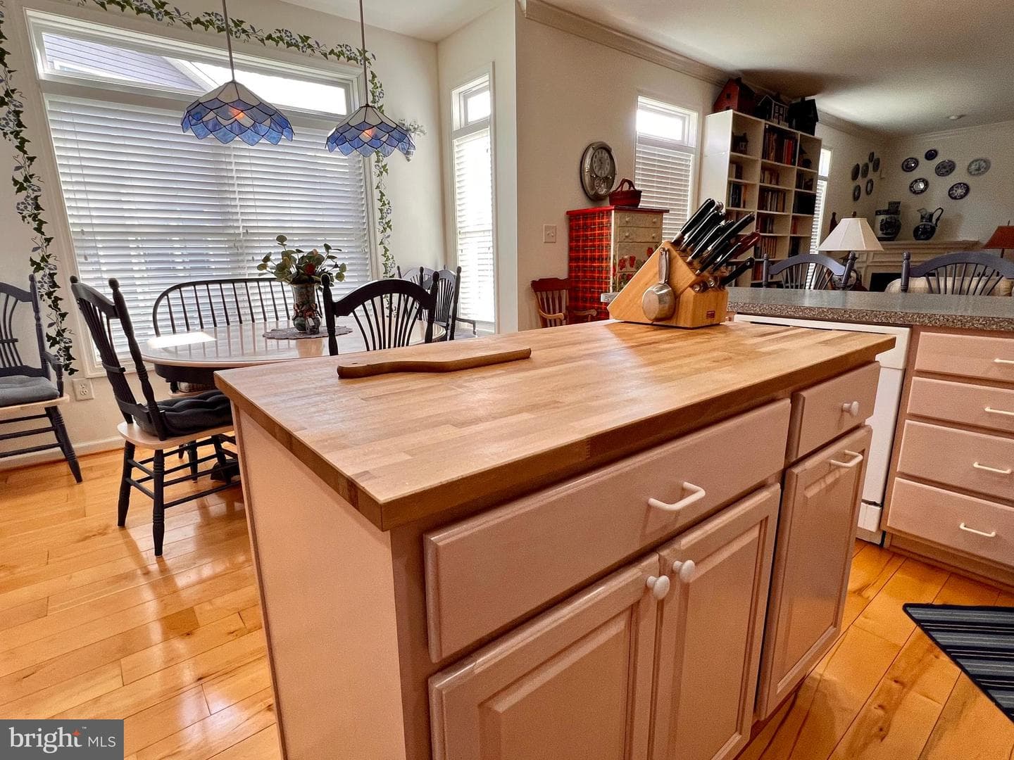 305 Brookline Drive photo 8