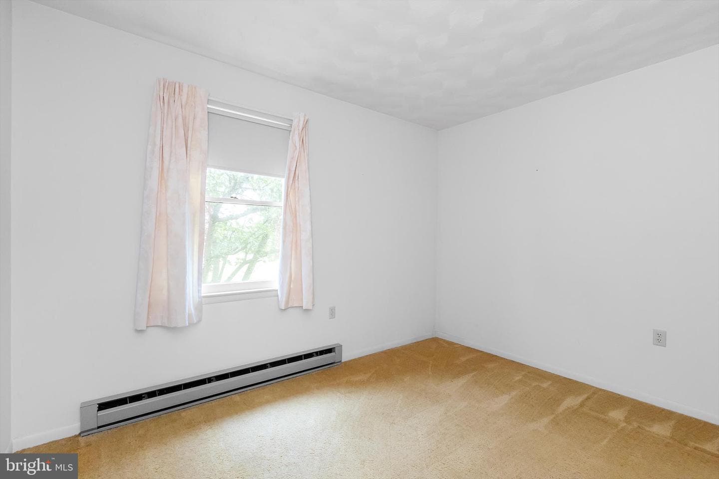 391 King Street photo 28