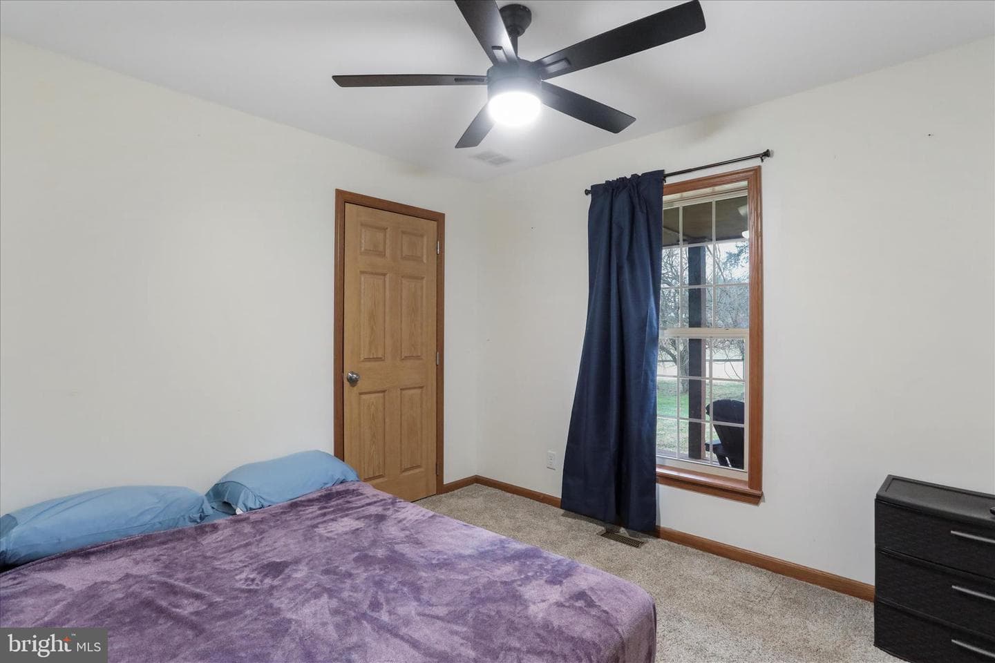 135 Carter Avenue photo 25